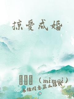 掠爱成婚