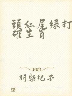 头红尾绿打一准确生肖
