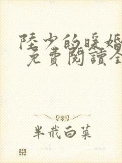 陆少的暖婚新妻 免费阅读全文