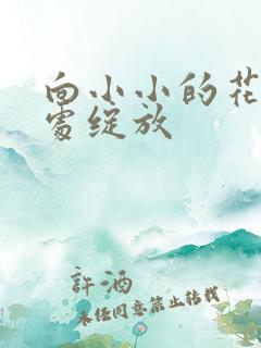 向小小的花蕾深处绽放