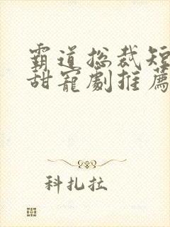 霸道总裁短剧 甜宠剧推荐