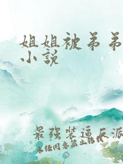 姐姐被弟弟操的小说