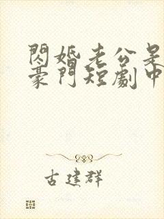 闪婚老公是超级豪门短剧中文版