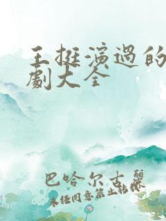 王挺演过的电视剧大全