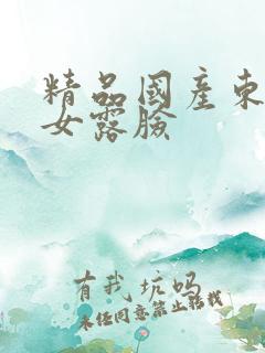 精品国产东北熟女露脸