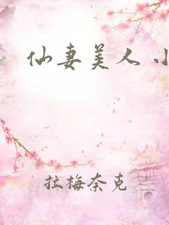 仙妻美人 小说 仙妻美人 小说