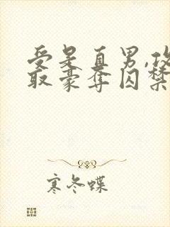 受是直男,攻强取豪夺囚禁受的小说
