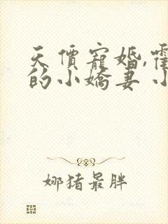 天价宠婚,霍总的小娇妻 小说