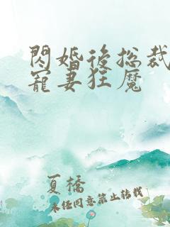 闪婚后总裁成了宠妻狂魔