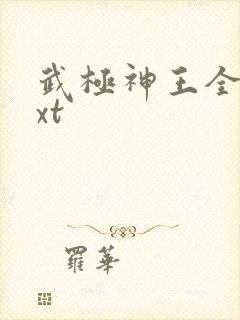 武极神王全集txt