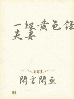 一级黄色录像片夫妻