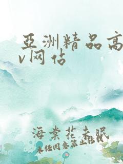 亚洲精品高潮av网站