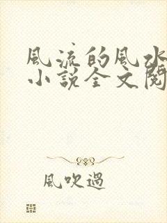 风流的风水相师小说全文阅读