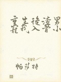 重生后渣男小叔宠我入骨小说