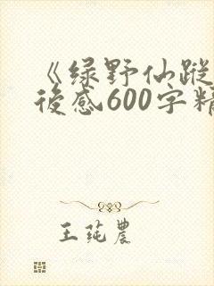 《绿野仙踪》读后感600字精选三篇