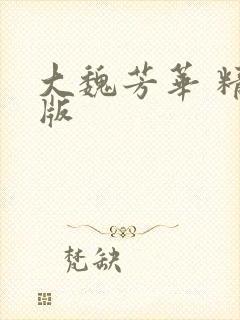 大魏芳华 精校版