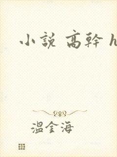 小说 高干 h