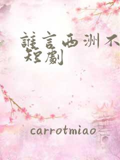谁言西洲不知意 短剧