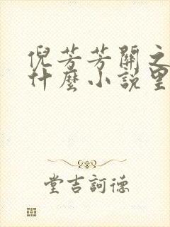 倪芳芳关之峰是什么小说里的