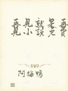 再见就是再也不见小说免费阅读全文