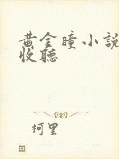 黄金瞳小说在线收听