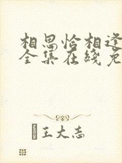相思恰相逢短剧全集在线免费观看