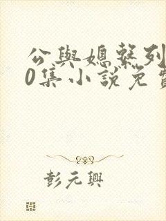 公与媳系列100集小说免费看