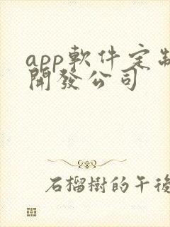 app软件定制开发公司