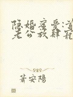 隐婚蜜爱:首席老公放肆宠