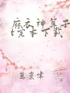 麻衣神算子txt完本下载