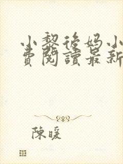 小黎后妈小说免费阅读最新章节更新