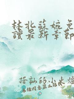 林北苏婉免费阅读最新章节笔趣阁