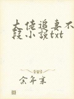 大佬追妻不择手段小说txt