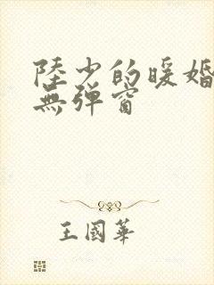 陆少的暖婚新妻无弹窗