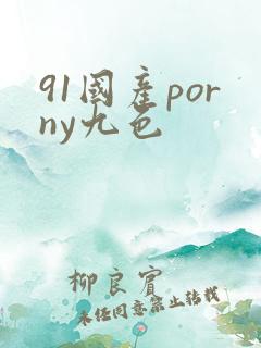 91国产porny九色