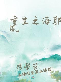 重生之海耶斯旋风