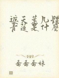 遮天叶凡体内的青莲是什么