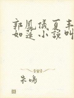 郭凤仪夏丰银陈如莲小说叫什么 郭凤仪夏丰银陈如莲小说叫什么
