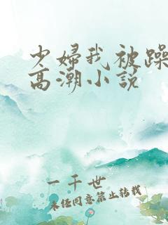 少妇我被躁爽到高潮小说