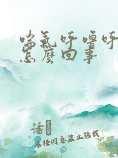 喘气呼噜呼噜的怎么回事