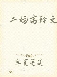 二婚高干文