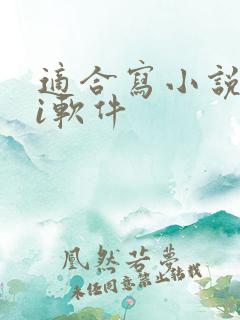适合写小说的ai软件