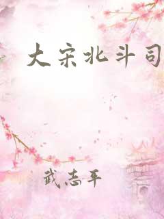 大宋北斗司女主
