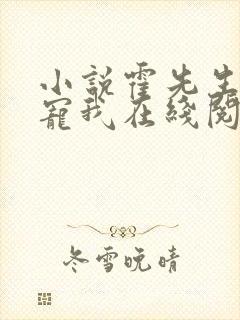 小说霍先生乖乖宠我在线阅读