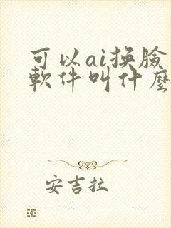 可以ai换脸的软件叫什么 可以ai换脸的软件叫什么