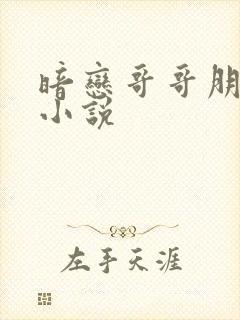 暗恋哥哥朋友的小说