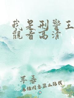 我是刑警王免费观看高清
