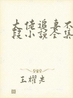大佬追妻不择手段小说全集阅读