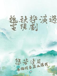 魏秋桦演过哪些电视剧