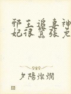 邪王追妻神医狂妃很嚣张免费阅读全文